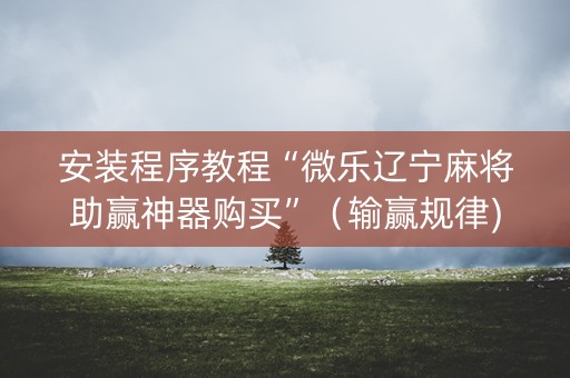 安装程序教程“微乐辽宁麻将助赢神器购买”（输赢规律)
