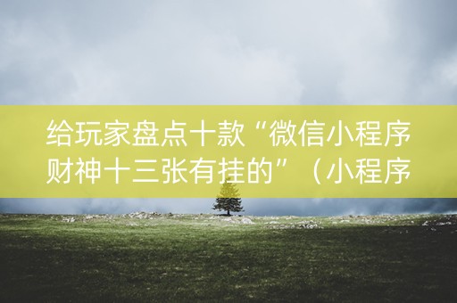 给玩家盘点十款“微信小程序财神十三张有挂的”（小程序辅助软件)