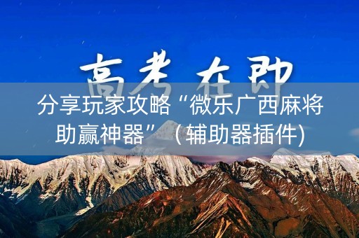 分享玩家攻略“微乐广西麻将助赢神器”（辅助器插件)