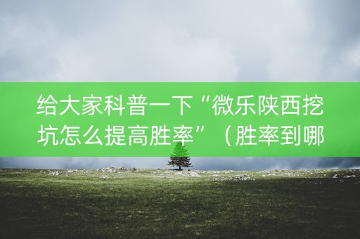 给大家科普一下“微乐陕西挖坑怎么提高胜率”（胜率到哪调)