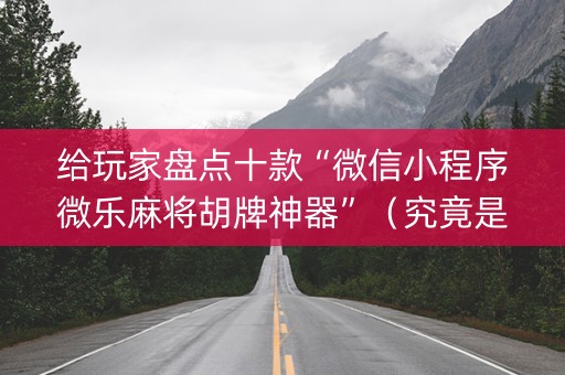 给玩家盘点十款“微信小程序微乐麻将胡牌神器”（究竟是不是有挂)