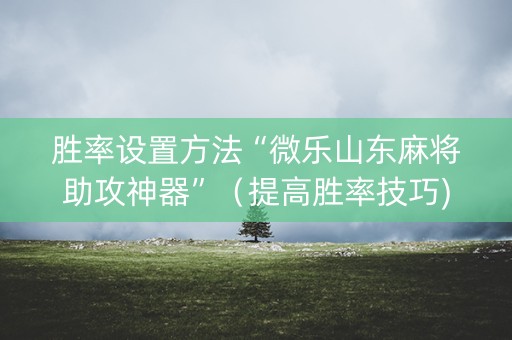 胜率设置方法“微乐山东麻将助攻神器”（提高胜率技巧)