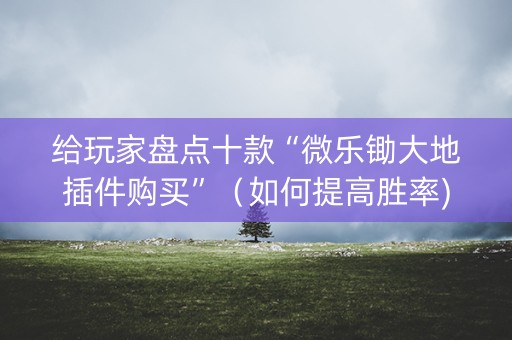 给玩家盘点十款“微乐锄大地插件购买”（如何提高胜率)