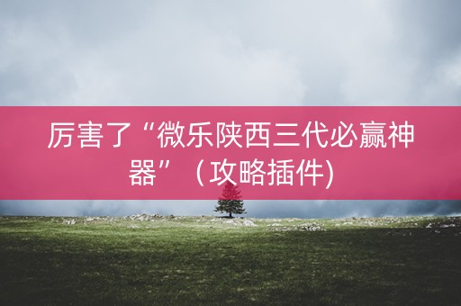厉害了“微乐陕西三代必赢神器”（攻略插件)