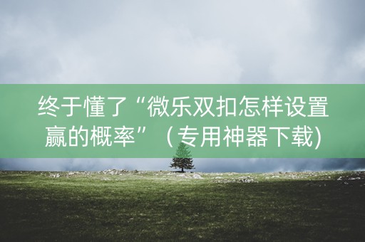 终于懂了“微乐双扣怎样设置赢的概率”（专用神器下载)