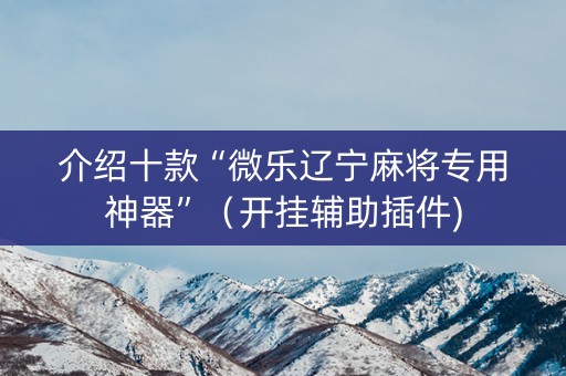 介绍十款“微乐辽宁麻将专用神器”（开挂辅助插件)