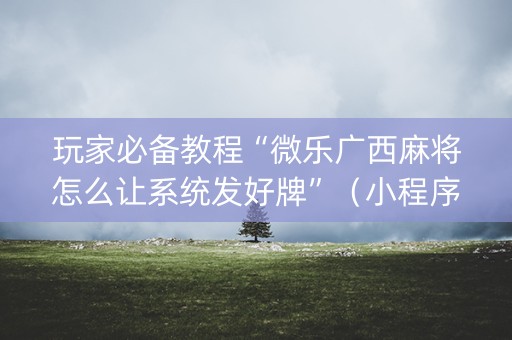 玩家必备教程“微乐广西麻将怎么让系统发好牌”（小程序控牌器)