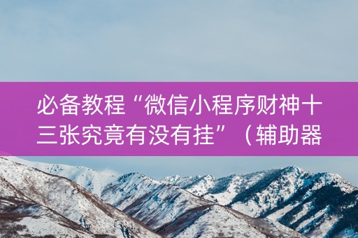 必备教程“微信小程序财神十三张究竟有没有挂”（辅助器通用版)