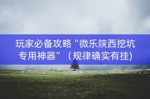 玩家必备攻略“微乐陕西挖坑专用神器”（规律确实有挂)