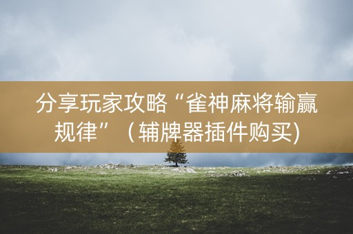 分享玩家攻略“雀神麻将输赢规律”（辅牌器插件购买)