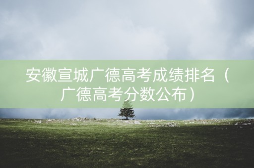 安徽宣城广德高考成绩排名（广德高考分数公布）
