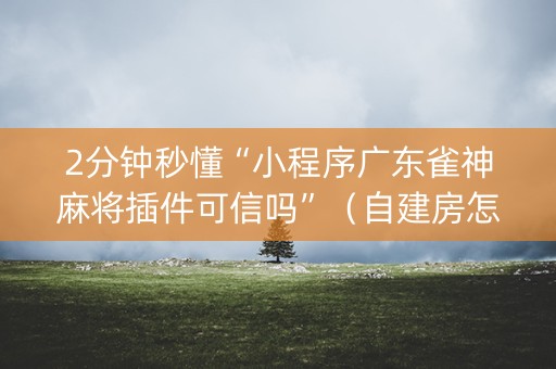 2分钟秒懂“小程序广东雀神麻将插件可信吗”（自建房怎么拿好牌)