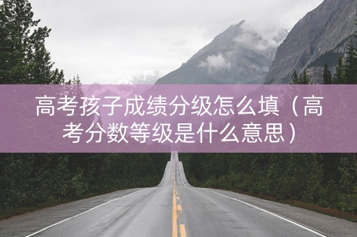 高考孩子成绩分级怎么填（高考分数等级是什么意思）