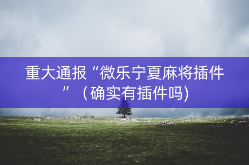 重大通报“微乐宁夏麻将插件”（确实有插件吗)
