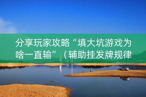 分享玩家攻略“填大坑游戏为啥一直输”（辅助挂发牌规律)