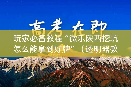 玩家必备教程“微乐陕西挖坑怎么能拿到好牌”（透明器教程)