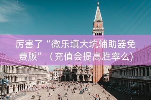 厉害了“微乐填大坑辅助器免费版”（充值会提高胜率么)