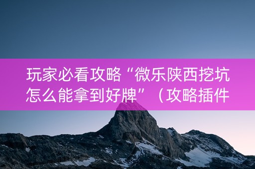 玩家必看攻略“微乐陕西挖坑怎么能拿到好牌”（攻略插件)
