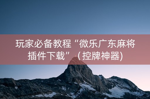 玩家必备教程“微乐广东麻将插件下载”（控牌神器)