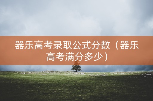 器乐高考录取公式分数（器乐高考满分多少）