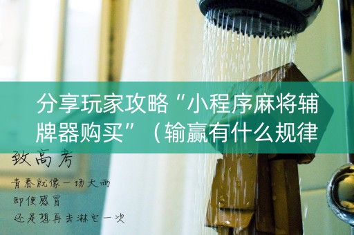 分享玩家攻略“小程序麻将辅牌器购买”（输赢有什么规律)