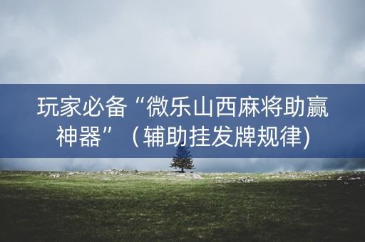 玩家必备“微乐山西麻将助赢神器”（辅助挂发牌规律)