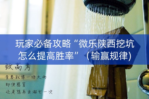 玩家必备攻略“微乐陕西挖坑怎么提高胜率”（输赢规律)