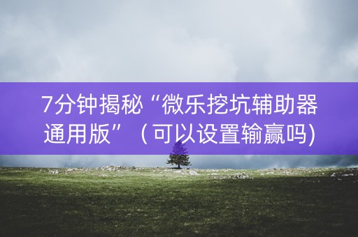 7分钟揭秘“微乐挖坑辅助器通用版”（可以设置输赢吗)