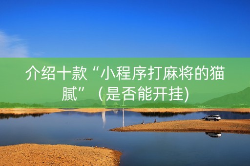 介绍十款“小程序打麻将的猫腻”（是否能开挂)