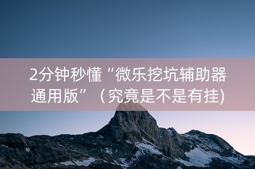2分钟秒懂“微乐挖坑辅助器通用版”（究竟是不是有挂)