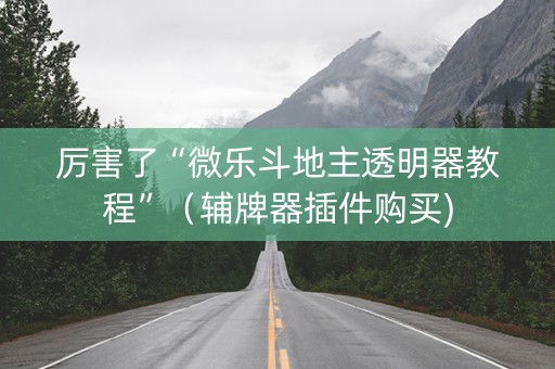 厉害了“微乐斗地主透明器教程”（辅牌器插件购买)