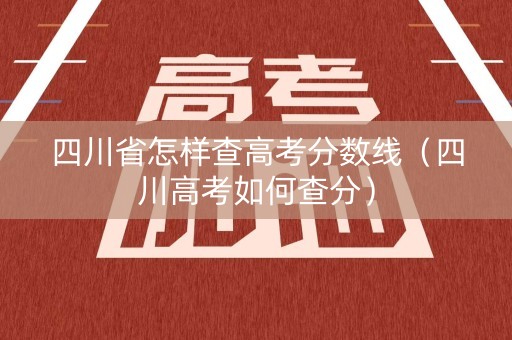 四川省怎样查高考分数线（四川高考如何查分）