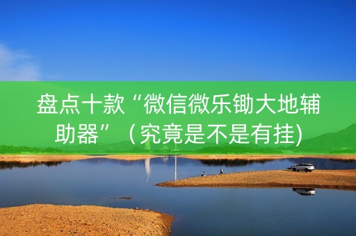 盘点十款“微信微乐锄大地辅助器”（究竟是不是有挂)