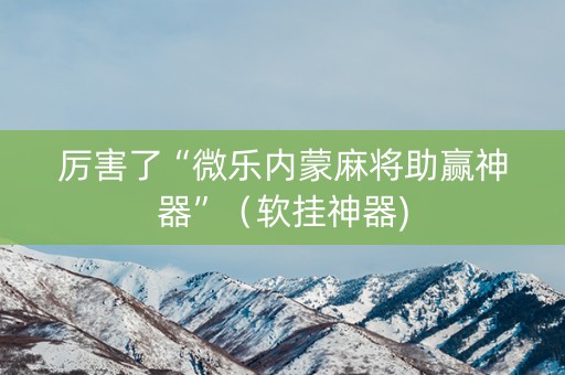 厉害了“微乐内蒙麻将助赢神器”（软挂神器)