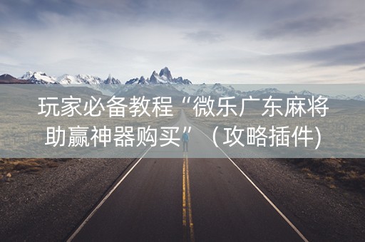 玩家必备教程“微乐广东麻将助赢神器购买”（攻略插件)