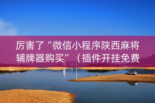 厉害了“微信小程序陕西麻将辅牌器购买”（插件开挂免费AI)