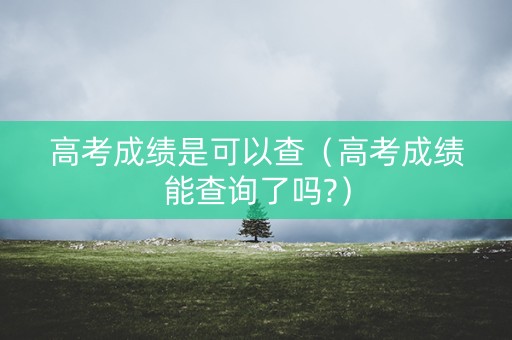 高考成绩是可以查（高考成绩能查询了吗?）