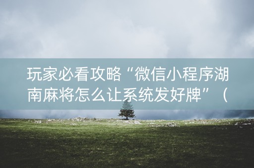 玩家必看攻略“微信小程序湖南麻将怎么让系统发好牌”（AI辅助胡牌规则)