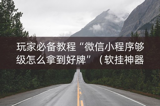 玩家必备教程“微信小程序够级怎么拿到好牌”（软挂神器)