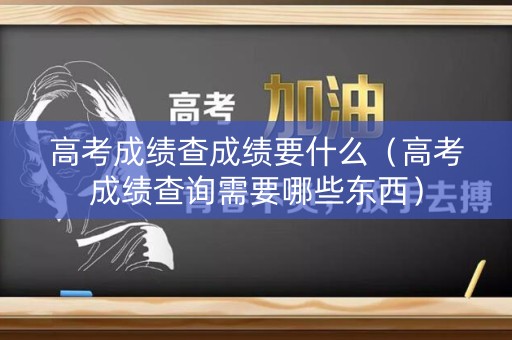 高考成绩查成绩要什么（高考成绩查询需要哪些东西）