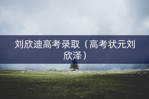 刘欣迪高考录取（高考状元刘欣泽）