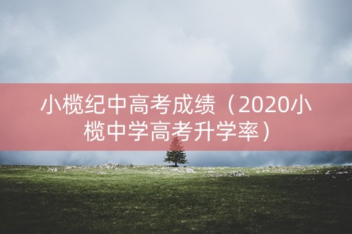 小榄纪中高考成绩（2020小榄中学高考升学率）