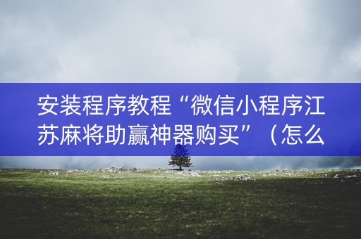 安装程序教程“微信小程序江苏麻将助赢神器购买”（怎么让系统给自己好牌)