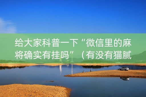 给大家科普一下“微信里的麻将确实有挂吗”（有没有猫腻)
