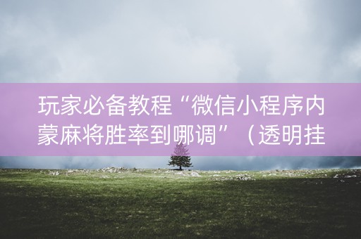 玩家必备教程“微信小程序内蒙麻将胜率到哪调”（透明挂辅助器)