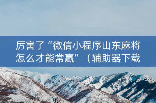 厉害了“微信小程序山东麻将怎么才能常赢”（辅助器下载)