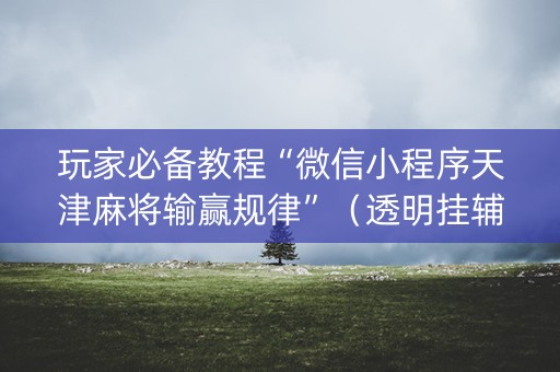 玩家必备教程“微信小程序天津麻将输赢规律”（透明挂辅助器)