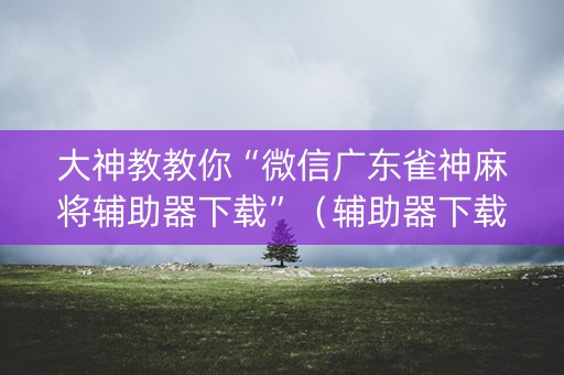 大神教教你“微信广东雀神麻将辅助器下载”（辅助器下载)