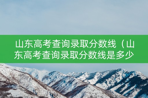 山东高考查询录取分数线（山东高考查询录取分数线是多少）