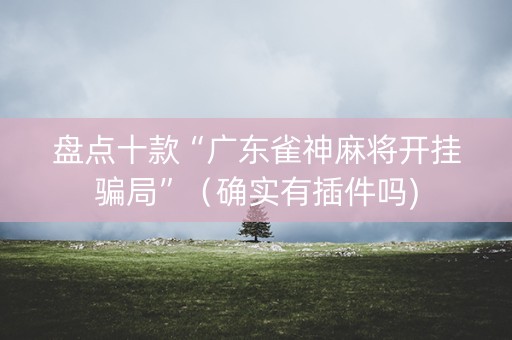 盘点十款“广东雀神麻将开挂骗局”（确实有插件吗)